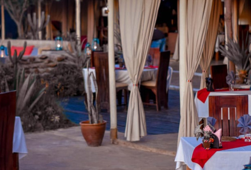 Zebra Plains Mara Camp Kenia